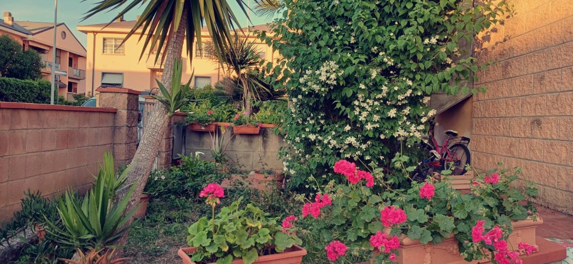 فندق Stella تشيزينا المظهر الخارجي الصورة